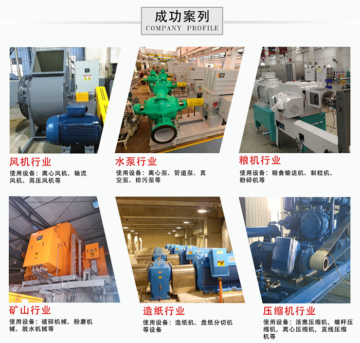 WEG電機案例