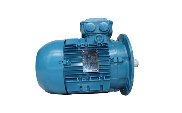 高原環(huán)境對(duì)電機(jī)性能有什么影響